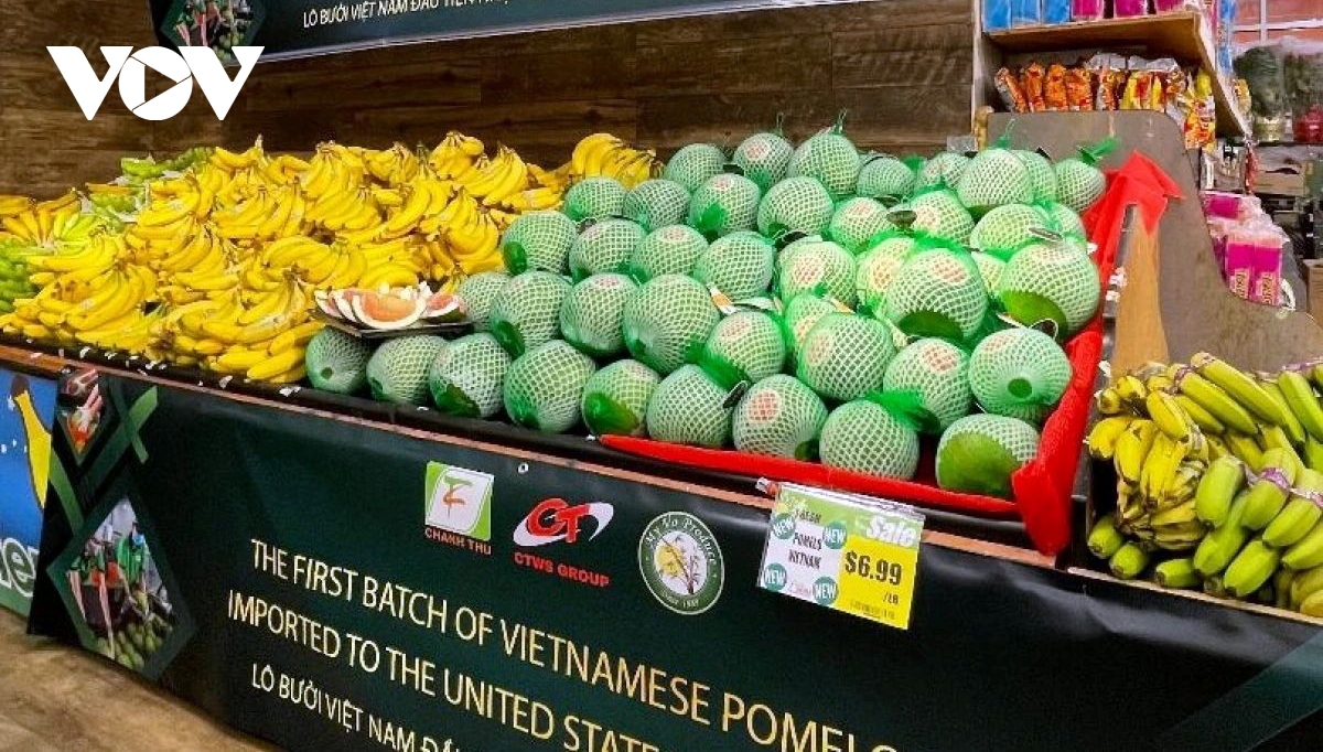 Vietnam fruit exports to US surge on demand, market access gains